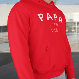 Vaderdag Hoodie Papa Bear Rood